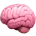 Cognitive Flexibility